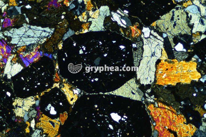 Eclogite LPA x4 - gryphea.org